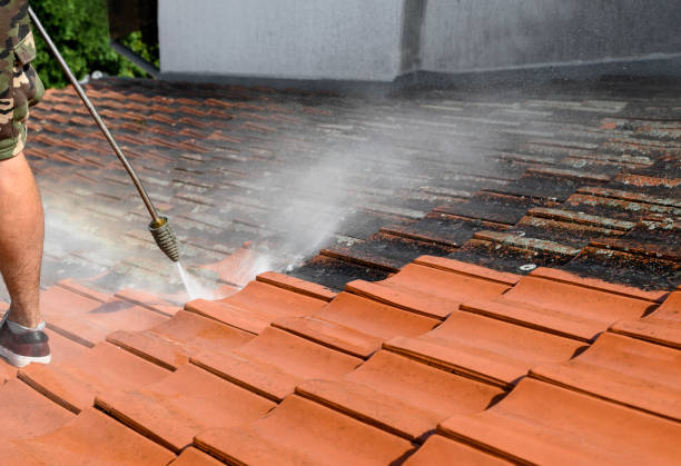 Professional Pressure Washing in Homestead Valley, CA