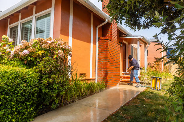 Best Exterior Home Cleaning  in Homestead Valley, CA
