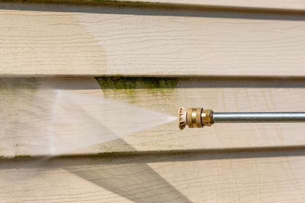 Local Pressure Washing Services in Homestead Valley, CA